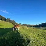 Vacation House Enya Koprivnik v Bohinju