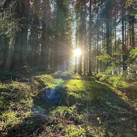 Dom wakacyjny Vacation House Enya Koprivnik v Bohinju