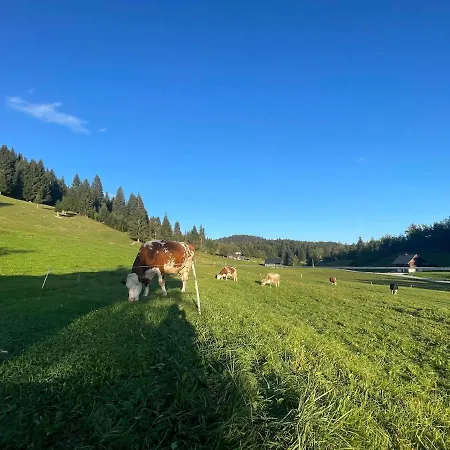Vacation House Enya Koprivnik v Bohinju