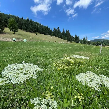 Vacation House Enya Dom wakacyjny *