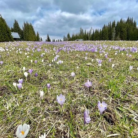 Vacation House Enya * Koprivnik v Bohinju