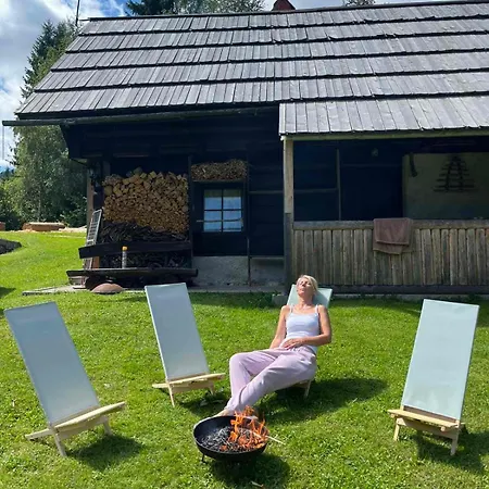 Vacation House Enya 別荘 Koprivnik v Bohinju