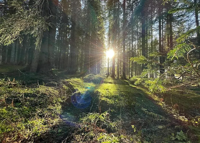 בית נופש Vacation House Enya Koprivnik v Bohinju