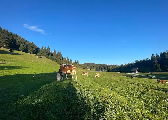 Vacation House Enya Koprivnik v Bohinju