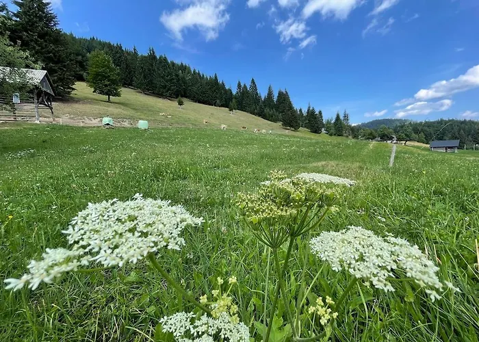 Vacation House Enya Nyaraló *